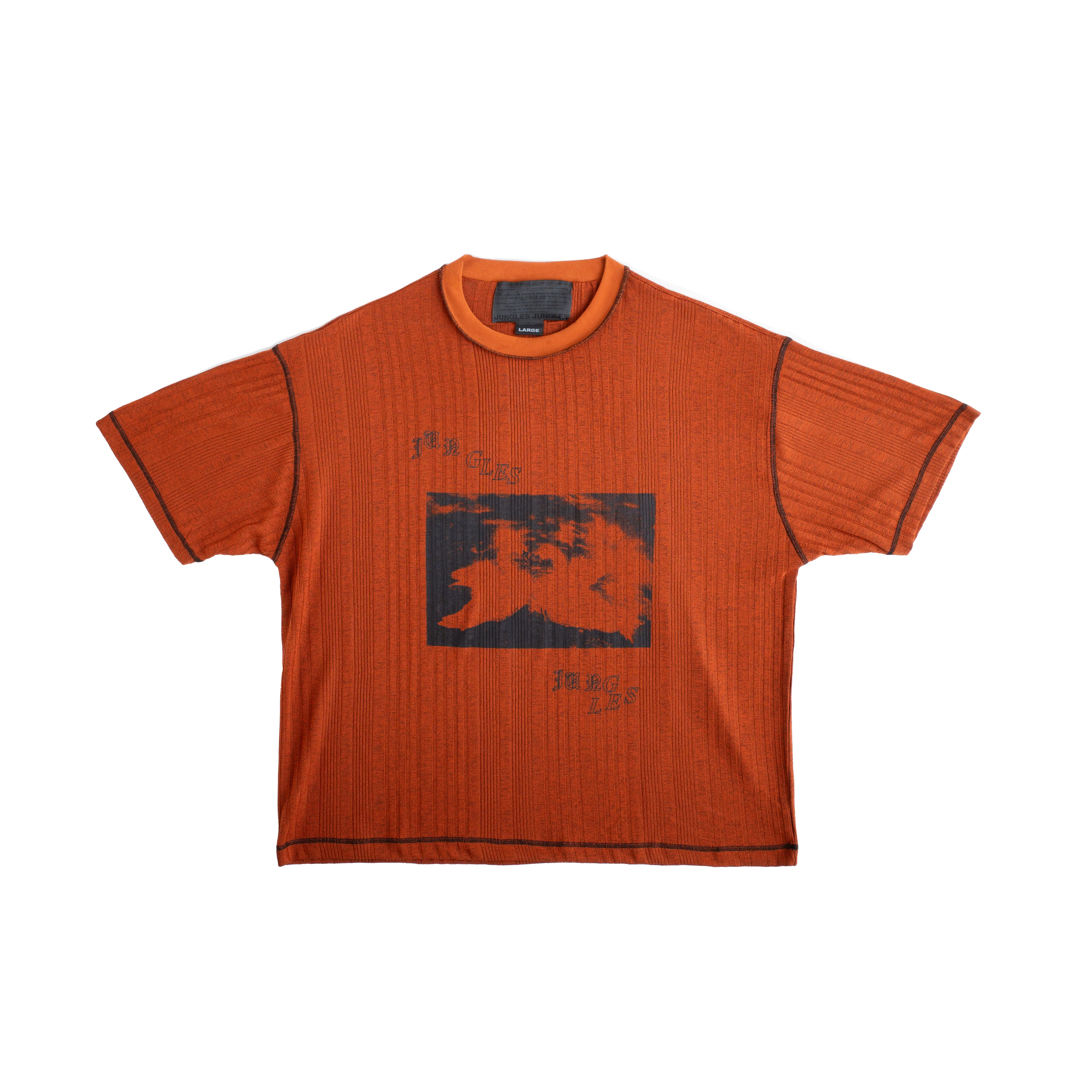 SWANS KNIT TEE