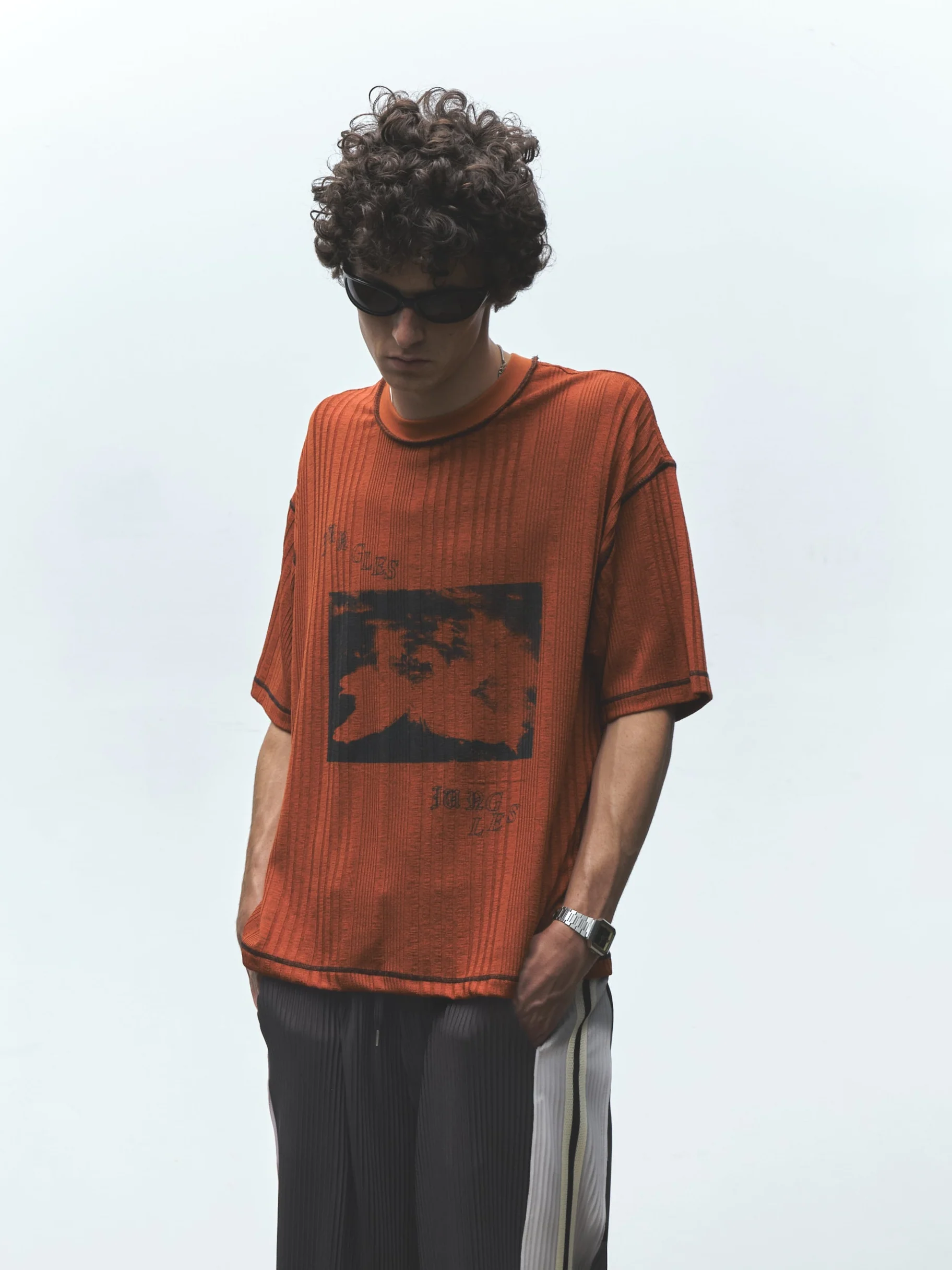 SWANS KNIT TEE - Image 2