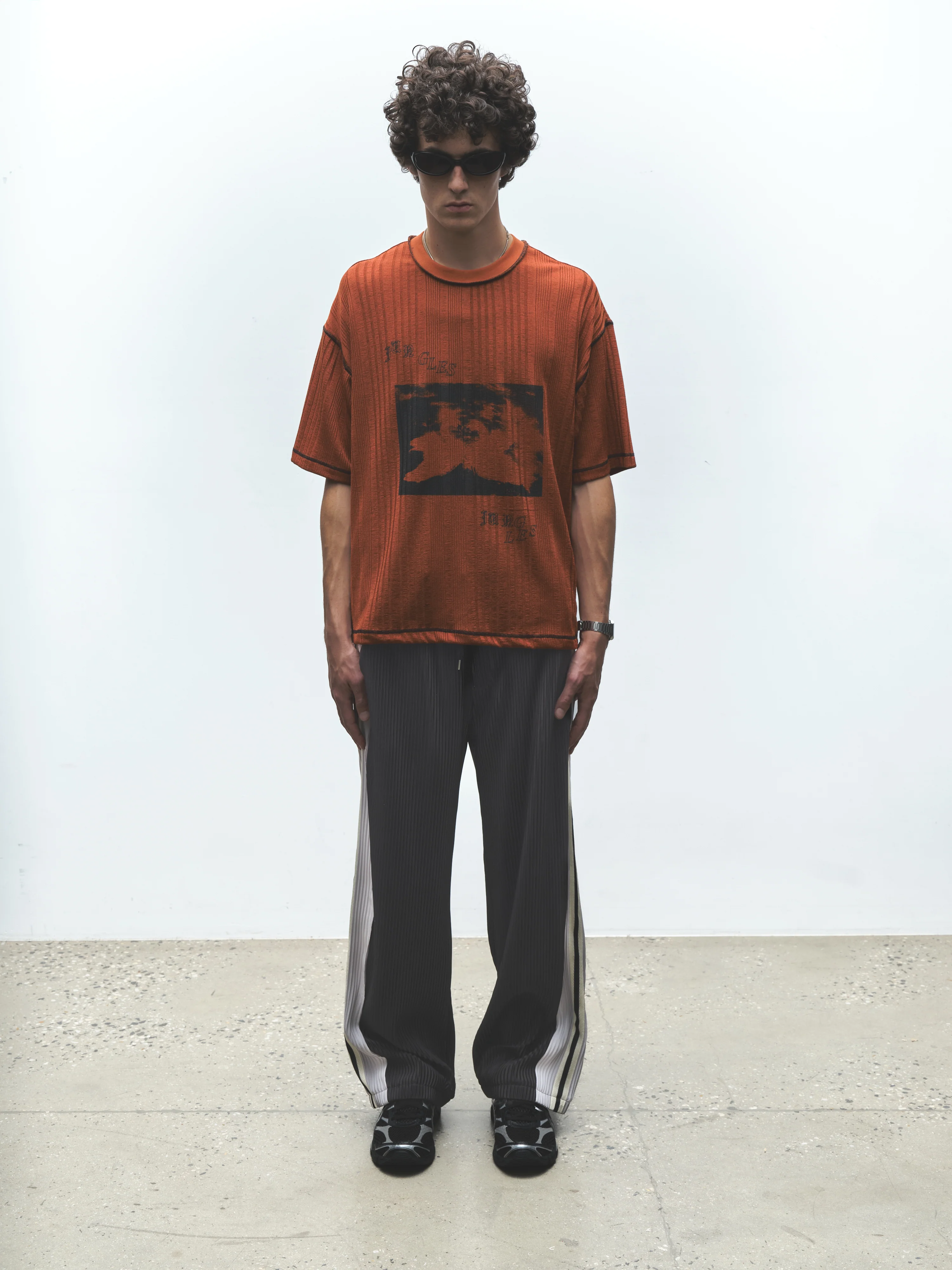 SWANS KNIT TEE - Image 6