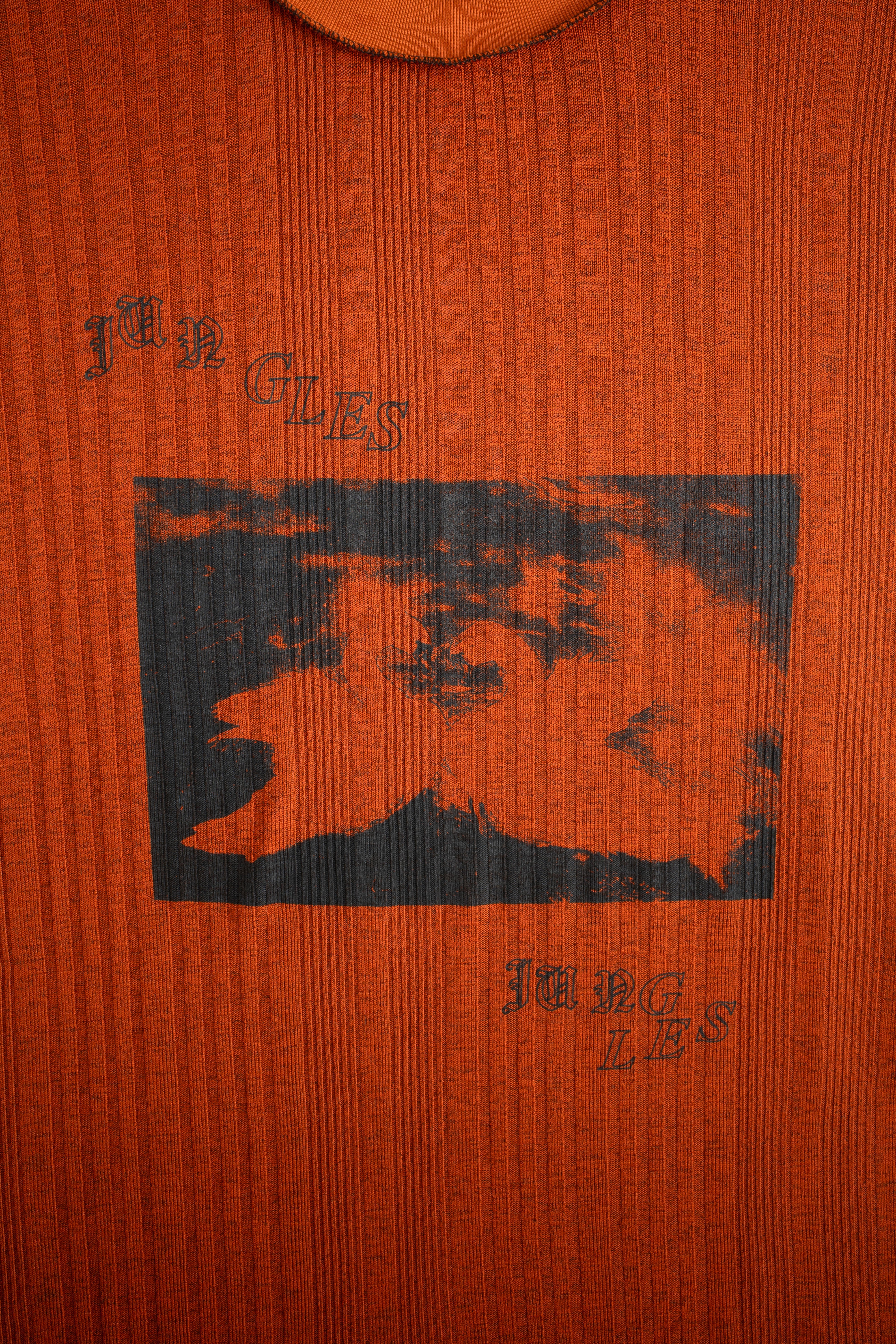 SWANS KNIT TEE - Image 7